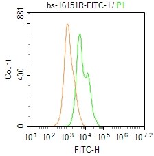 FMNL3 Polyclonal Antibody, FITC Conjugated