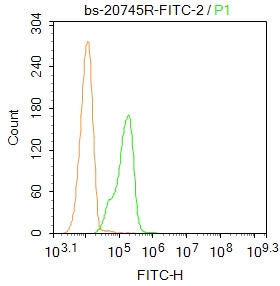Nurr1 Polyclonal Antibody, FITC Conjugated