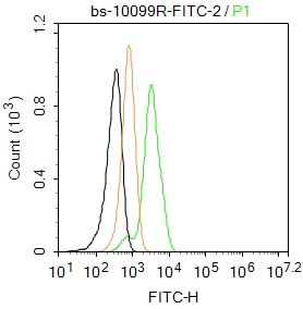 CYP11A1 Polyclonal Antibody, FITC Conjugated