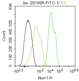 Nurr1 Polyclonal Antibody, FITC Conjugated
