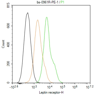 Leptin receptor Polyclonal Antibody, PE Conjugated