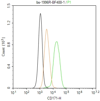 CD171/L1CAM Polyclonal Antibody, AbBy Fluor-488 Conjugated