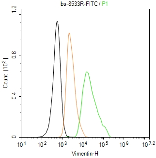 Vimentin Polyclonal Antibody, FITC Conjugated