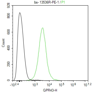 GPR43 Polyclonal Antibody, PE Conjugated