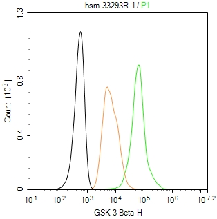 GSK-3 Beta Recombinant Antibody