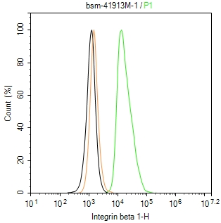 Integrin beta 1 Monoclonal Antibody