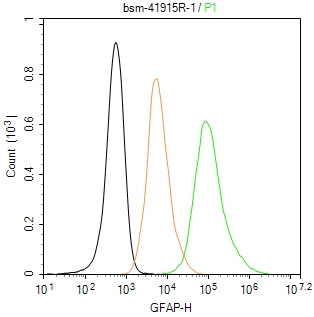 GFAP Recombinant Antibody