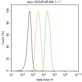 beta-Actin Recombinant Antibody, AbBy Fluor-488 Conjugated
