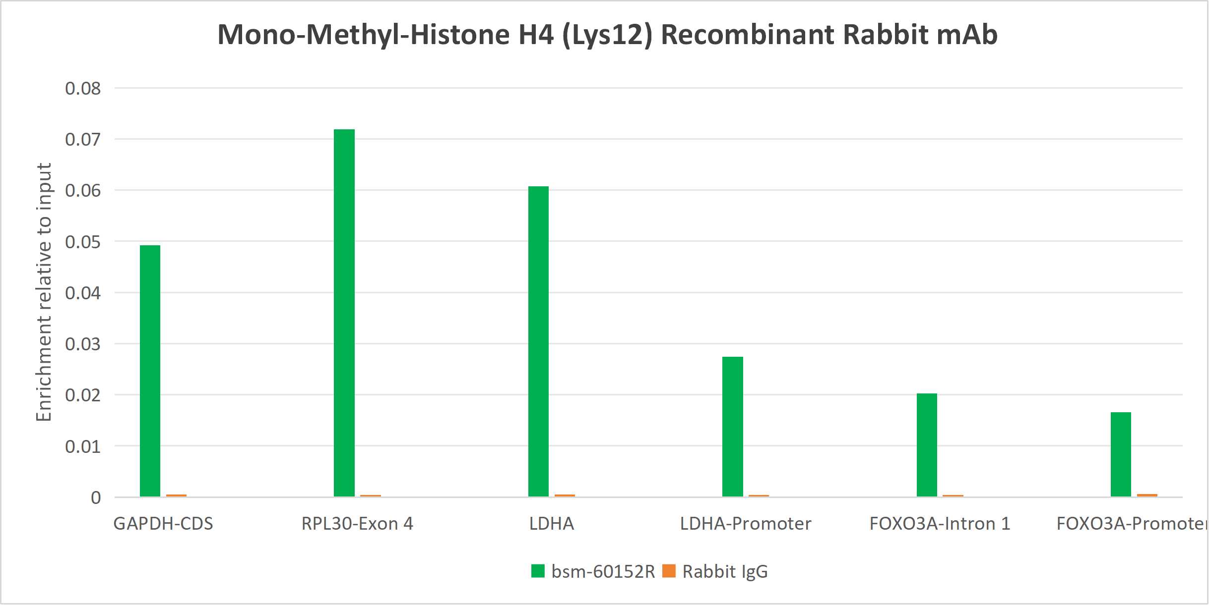 Mono-Methyl-Histone H4 (Lys12) Recombinant Antibody