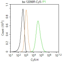 GRINA Polyclonal Antibody, Cy5 Conjugated