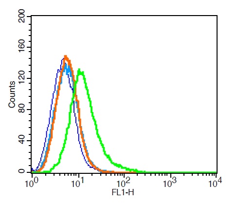 RSC96 cells probed with Rabbit Anti-DAT/Dopamine transporter Polyclonal Antibody (bs-1714R ) at 6ug for 30 minutes followed by incubation with Goat Anti-Rabbit IgG FITC conjugated secondary (green) for 30 minutes compared to control cells (blue), secondary only (light blue) and isotype control (orange). RSC96 cells probed with Rabbit Anti-DAT/Dopamine transporter Polyclonal Antibody (bs-1714R ) at 6ug for 30 minutes followed by incubation with Goat Anti-Rabbit IgG FITC conjugated secondary (green) for 30 minutes compared to control cells (blue), secondary only (light blue) and isotype control (orange).