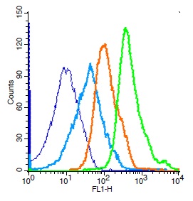 Mouse splenocytes probed with Rabbit Anti-Histone H3 Polyclonal Antibody, Unconjugated (bs-0349R) (green) at 1:50 for 30 minutes followed by a FITC conjugated secondary antibody compared to unstained cells (blue), secondary only(light blue), and isotype control(orange).