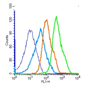 Mouse splenocytes probed with Rabbit Anti-Ceramide glucosyltransferase Polyclonal Antibody, Unconjugated (bs-0701R) (green) at 1:50 for 30 minutes followed by a FITC conjugated secondary antibody compared to unstained cells (blue), secondary only(light blue), and isotype control(orange).
