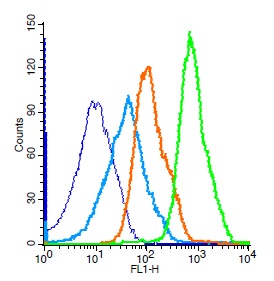 Mouse splenocytes probed with Rabbit Anti-ERK1 Polyclonal Antibody, Unconjugated (bs-1020R) (green) at 1:50 for 30 minutes followed by a FITC conjugated secondary antibody compared to unstained cells (blue), secondary only(light blue), and isotype control(orange).