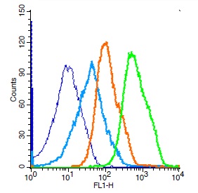 Mouse splenocytes probed with Rabbit Anti-JNK1/2/3 (Thr183+Tyr185) Polyclonal Antibody, Unconjugated (bs-1640R) (green) at 1:50 for 30 minutes followed by a FITC conjugated secondary antibody compared to unstained cells (blue), secondary only(light blue), and isotype control(orange).