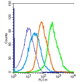 Mouse splenocytes probed with Rabbit Anti-PRDX1 Polyclonal Antibody, Unconjugated (bs-3875R) (green) at 1:100 for 30 minutes followed by a FITC conjugated secondary antibody compared to unstained cells (blue), secondary only(light blue), and isotype control(orange).