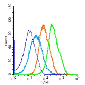 Mouse splenocytes probed with Rabbit Anti-Bcl-2 Polyclonal Antibody, Unconjugated (bs-4563R) (green) at 1:100 for 30 minutes followed by a FITC conjugated secondary antibody compared to unstained cells (blue), secondary only(light blue), and isotype control(orange).