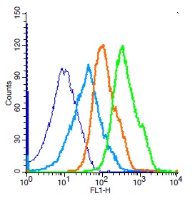 Mouse splenocytes probed with Rabbit Anti-SIRT5 Polyclonal Antibody, Unconjugated (bs-9456R) (green) at 1:50 for 30 minutes followed by a FITC conjugated secondary antibody compared to unstained cells (blue), secondary only(light blue), and isotype control(orange).