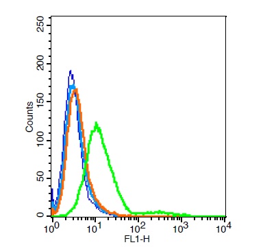 Rat H9C2 cells probed with Rabbit Anti-GALR2 Polyclonal Antibody, Unconjugated (bs-11527R) at 6ug for 30 minutes followed by incubation with a conjugated secondary (bs-0295G-FITC) (green) for 30 minutes compared to control cells (blue), secondary only (light blue) and isotype control (orange).