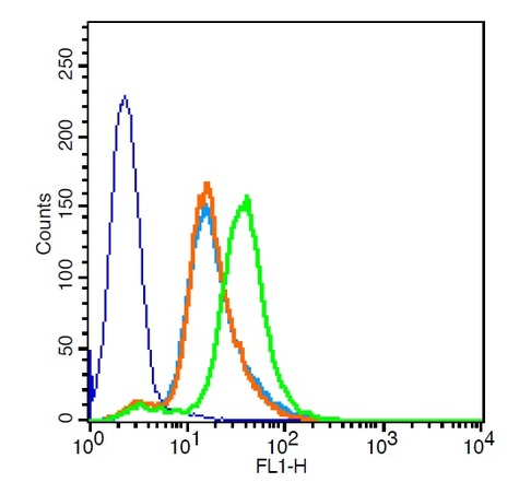 HCCLM3 cells probed with Rabbit Anti-CXCR3 Polyclonal Antibody, Unconjugated (bs-2209R ) at 1:100 for 30 minutes followed by incubation with a conjugated secondary (bs-0295G-FITC)  (green) for 30 minutes compared to control cells (blue), secondary only (light blue) and isotype control (orange).