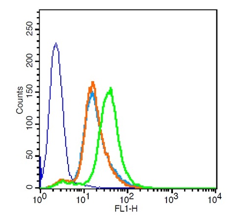 HCCLM3 cells probed with Rabbit Anti-CXCR3 Polyclonal Antibody, Unconjugated (bs-2209R ) at 1:100 for 30 minutes followed by incubation with a conjugated secondary (bs-0295G-FITC) (green) for 30 minutes compared to control cells (blue), secondary only (light blue) and isotype control (orange). HCCLM3 cells probed with Rabbit Anti-CXCR3 Polyclonal Antibody, Unconjugated (bs-2209R ) at 1:100 for 30 minutes followed by incubation with a conjugated secondary (bs-0295G-FITC) (green) for 30 minutes compared to control cells (blue), secondary only (light blue) and isotype control (orange).