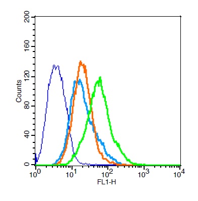 293FT cells probed with Rabbit Anti-CCR10 Polyclonal Antibody, Unconjugated (bs-1710R) at 1:20 for 30 minutes followed by incubation with a conjugated secondary (bs-0295G-FITC) (green) for 30 minutes compared to control cells (blue), secondary only (light blue) and isotype control (orange).