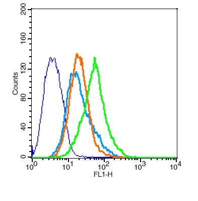 293FT cells probed with Rabbit Anti-RAI3 Polyclonal Antibody, Unconjugated (bs-11580R) at 1:20 for 30 minutes followed by incubation with a conjugated secondary (bs-0295G-FITC) (green) for 30 minutes compared to control cells (blue), secondary only (light blue) and isotype control (orange).