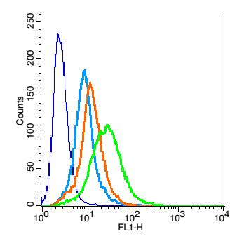 H9C2 cells probed with Rabbit Anti-Activin A Receptor Type IC Polyclonal Antibody, Unconjugated (bs-5777R) at 1:100 for 30 minutes followed by incubation with a conjugated secondary (bs-0295G-FITC) (green) for 30 minutes compared to control cells (blue), secondary only (light blue) and isotype control (orange).