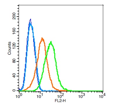 RSC96 probed with Tyrosine Hydroxylase Polyclonal Antibody, Unconjugated (bs-0016R)  at 6ug for 30 minutes followed by incubation with a conjugated secondary (bs-0295G-PE)  (green) for 30 minutes compared to control cells (blue), secondary only (light blue) and isotype control (orange).