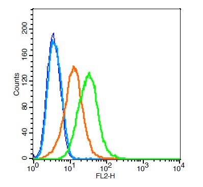 RSC96 probed with Tyrosine Hydroxylase Polyclonal Antibody, Unconjugated (bs-0016R) at 6ug for 30 minutes followed by incubation with a conjugated secondary (bs-0295G-PE) (green) for 30 minutes compared to control cells (blue), secondary only (light blue) and isotype control (orange).