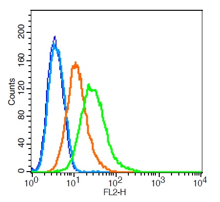 RSC96 cells probed with HB9/HLXB9 Polyclonal Antibody, Unconjugated (bs-11320R) at 3ug for 30 minutes followed by incubation with a conjugated secondary (bs-0295G-PE) (green) for 30 minutes compared to control cells (blue), secondary only (light blue) and isotype control (orange).