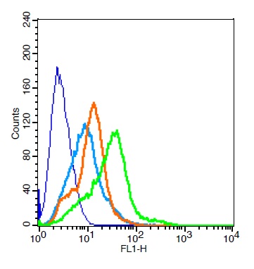 RSC96 probed with TPIA2/PTPRN Polyclonal Antibody, Unconjugated ( \tbs-11532R ) at 3ug for 30 minutes followed by incubation with a conjugated secondary (bs-0295G-FITC) (green) for 30 minutes compared to control cells (blue), secondary only (light blue) and isotype control (orange).