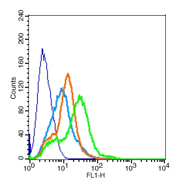 RSC96 probed with KCNQ2 Polyclonal Antibody, Unconjugated (bs-11728R ) at 3ug for 30 minutes followed by incubation with a conjugated secondary (bs-0295G-FITC) (green) for 30 minutes compared to control cells (blue), secondary only (light blue) and isotype control (orange).