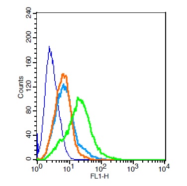 RSC96 probed with MC4 Receptor Polyclonal Antibody, Unconjugated (bs-11417R) at 1:100 for 30 minutes followed by incubation with a conjugated secondary (bs-0295G-FITC) (green) for 30 minutes compared to control cells (blue), secondary only (light blue) and isotype control (orange).