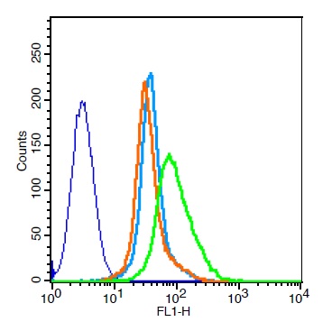 Mouse splenocytes probed with CAPRIN2 Polyclonal Antibody (bs-12423R) at 1:100 for 30 minutes followed by incubation with a conjugated secondary (bs-0295G-FITC) (green) for 30 minutes compared to control cells (blue), secondary only (light blue) and isotype control (orange).