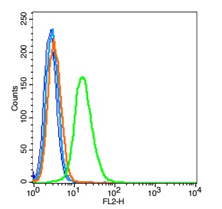 Human A549 probed with TTF1 Polyclonal Antibody, Unconjugated (bs-0826R) (green) at 1:100 for 30 minutes followed by a PE conjugated secondary antibody compared to unstained cells (blue), secondary only (light blue), and isotype control (orange).