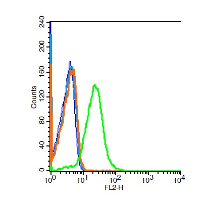 Mouse kidney cells probed with \tGPR110 Polyclonal Antibody, Unconjugated (bs-13513R) at 1:100 for 30 minutes followed by incubation with a conjugated secondary (bs-0295G-PE) (green) for 30 minutes compared to control cells (blue), secondary only (light blue) and isotype control (orange).