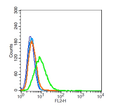 A549 cells probed with AQP5 Polyclonal Antibody, Unconjugated (bs-1554R) at 1:20 for 30 minutes followed by incubation with a conjugated secondary (bs-0295G-PE) (green) for 30 minutes compared to control cells (blue), secondary only (light blue) and isotype control (orange)