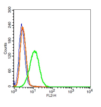 A549 cells probed with \tVEGFR3 Polyclonal Antibody, Unconjugated (bs-2202R) at 1:100 for 30 minutes followed by incubation with a conjugated secondary (PE conjugated) (green) for 30 minutes compared to control cells (blue), secondary only (light blue) and isotype control (orange).