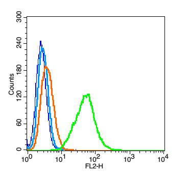 A549 probed with Mesothelin Polyclonal Antibody, Unconjugated (bs-0300R ) at 1:100 for 30 minutes followed by incubation with a conjugated secondary (PE Conjugated) (green) for 30 minutes compared to control cells (blue), secondary only (light blue) and isotype control (orange).