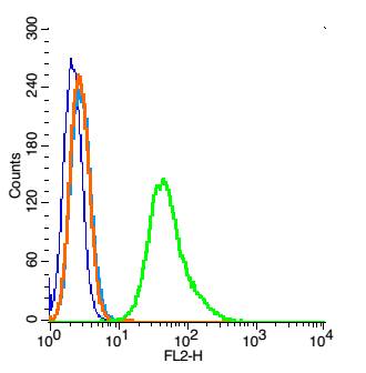 RSC96 probed with Ezrin Polyclonal Antibody, Unconjugated (bs-1343R) at 1:100 for 30 minutes followed by incubation with a PE conjugated secondary (green) for 30 minutes compared to control cells (blue), secondary only (light blue) and isotype control (orange).