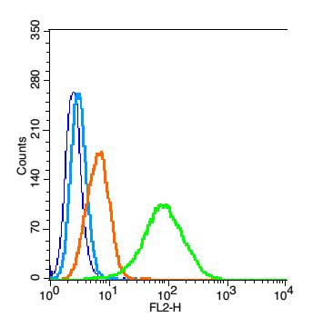 HeLa cells probed with PALB2 Polyclonal Antibody, Unconjugated (bs-0588R) at 1:100 for 30 minutes followed by incubation with a conjugated secondary (PE Conjugated) (green) for 30 minutes compared to control cells (blue), secondary only (light blue) and isotype control (orange).