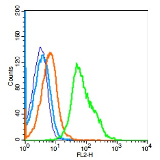 Mouse splenocytes probed with IL-22BP/IL22RA2 Polyclonal Antibody, Unconjugated (bs-2625R) at 1:100 for 30 minutes followed by incubation with a conjugated secondary (PE Conjugated) (green) for 30 minutes compared to control cells (blue), secondary only (light blue) and isotype control (orange).