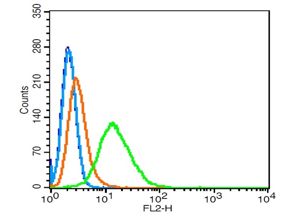 Hela cells probed with \tRhoA/CPolyclonal Antibody, Unconjugated (bs-1180R) at 1:100 for 30 minutes followed by incubation with a conjugated secondary (PE Conjugated) (green) for 30 minutes compared to control cells (blue), secondary only (light blue) and isotype control (orange).