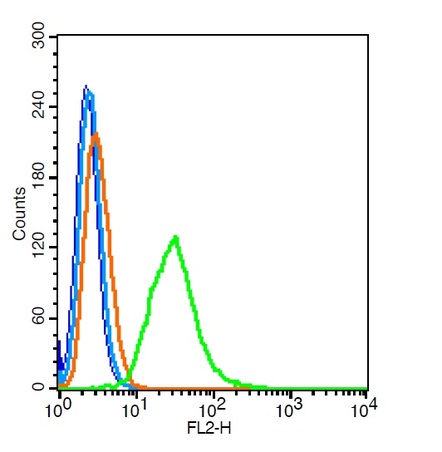 RSC96 cells probed with PDE7B Polyclonal Antibody, Unconjugated (bs-11576R) at 1:100 for 30 minutes followed by incubation with a conjugated secondary (PE Conjugated) (green) for 30 minutes compared to control cells (blue), secondary only (light blue) and isotype control (orange).