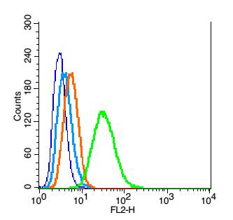 RSC96 probed with Caspase 9 Polyclonal Antibody, Unconjugated (bs-0049R) at 1:100 for 30 minutes followed by incubation with a conjugated secondary (PE Conjugated) (green) for 30 minutes compared to control cells (blue), secondary only (light blue) and isotype control (orange).