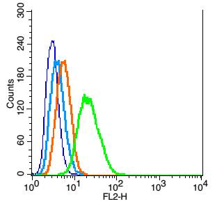 RSC96 cells probed with GFAP Polyclonal Antibody, Unconjugated (bs-0199R) at 1:100 for 30 minutes followed by incubation with a conjugated secondary (PE Conjugated) (green) for 30 minutes compared to control cells (blue), secondary only (light blue) and isotype control (orange).