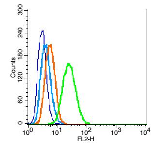 RSC96 cells probed with DRD3 Polyclonal Antibody, Unconjugated (bs-1743R) at 1:100 for 30 minutes followed by incubation with a conjugated secondary (PE Conjugated) (green) for 30 minutes compared to control cells (blue), secondary only (light blue) and isotype control (orange).
