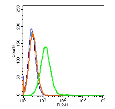 Raji cells probed with \tCD21/EBV receptor Polyclonal Antibody, Unconjugated (bs-3792R) at 1:20 for 30 minutes followed by incubation with a conjugated secondary (PE Conjugated) (green) for 30 minutes compared to control cells (blue), secondary only (light blue) and isotype control (orange).