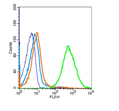 Mouse splenocytes probed with TLR9 Polyclonal Antibody, Unconjugated (bs-2717R) at 1:100 for 30 minutes followed by incubation with a conjugated secondary (PE Conjugated) (green) for 30 minutes compared to control cells (blue), secondary only (light blue) and isotype control (orange).